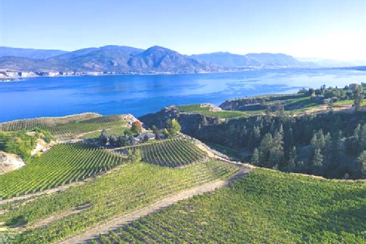 Escorts Naramata, Canada — Local Companions