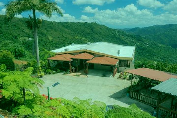 Escorts Naranjito, Puerto Rico — Local Companions