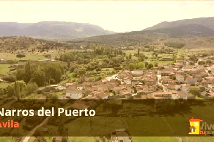 Escorts Narros del Puerto, Spain — Local Companions