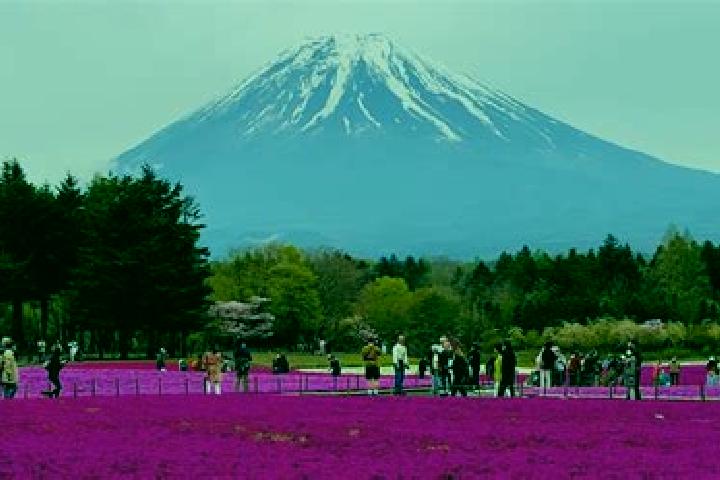 Escorts Narusawa, Japan — Local Companions