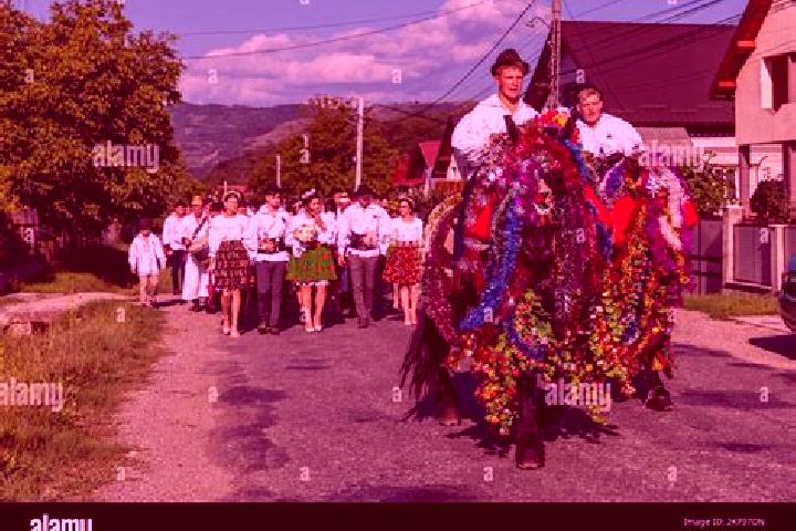 Escorts Nasaud, Romania — Local Companions