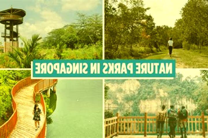 Escorts Nature Reserve, Singapore — Local Companions