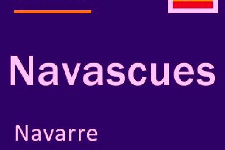 Escorts Navascues, Spain — Local Companions