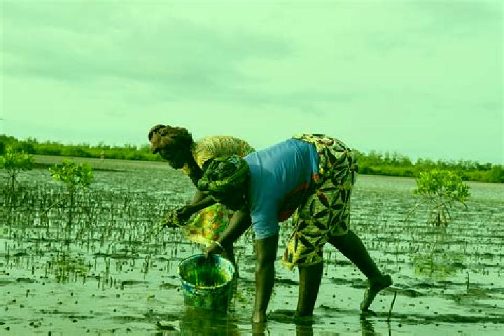 Escorts Ndiamakouta, Senegal — Local Companions