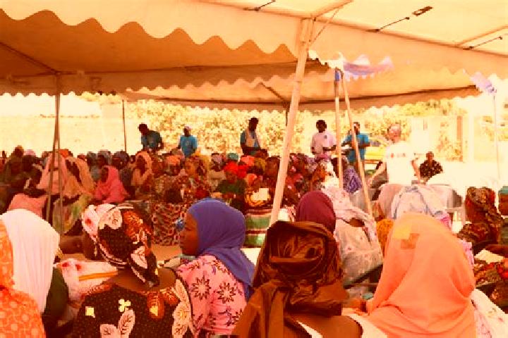 Escorts Ndioum, Senegal — Local Companions