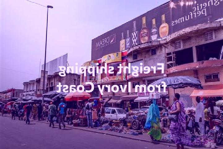 Escorts N Djorekro, Ivory Coast — Local Companions