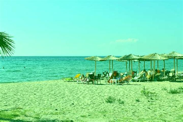 Escorts Nea Plagia, Greece — Local Companions