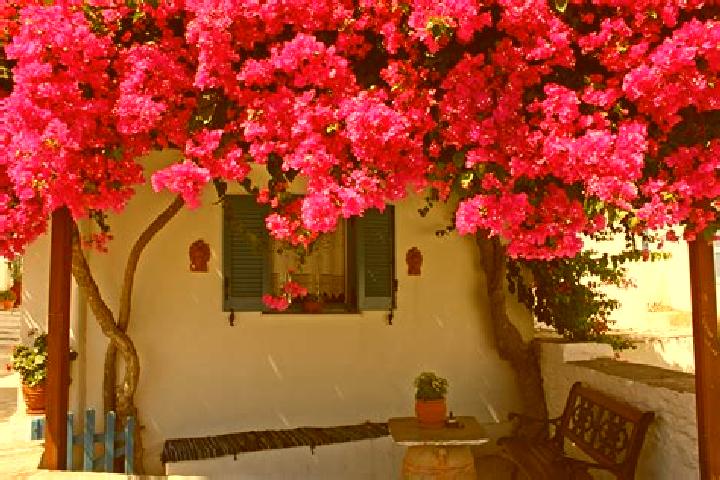 Escorts Nea Politeia, Greece — Local Companions