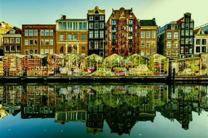 Escorts Nederwoud, Netherlands — Local Companions