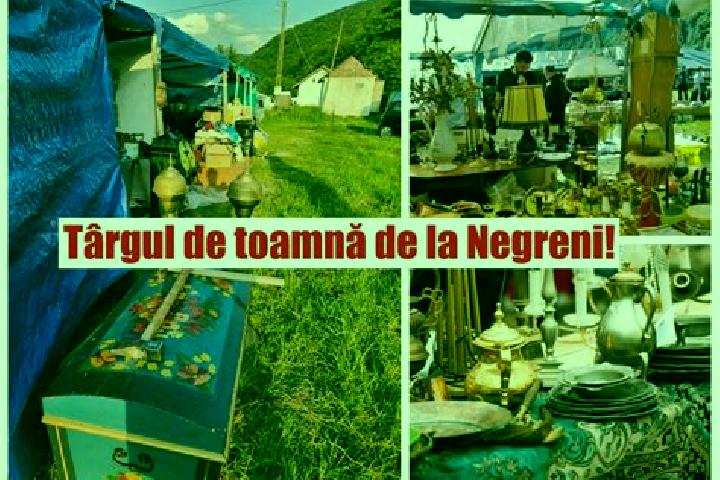 Escorts Negreni, Romania — Local Companions