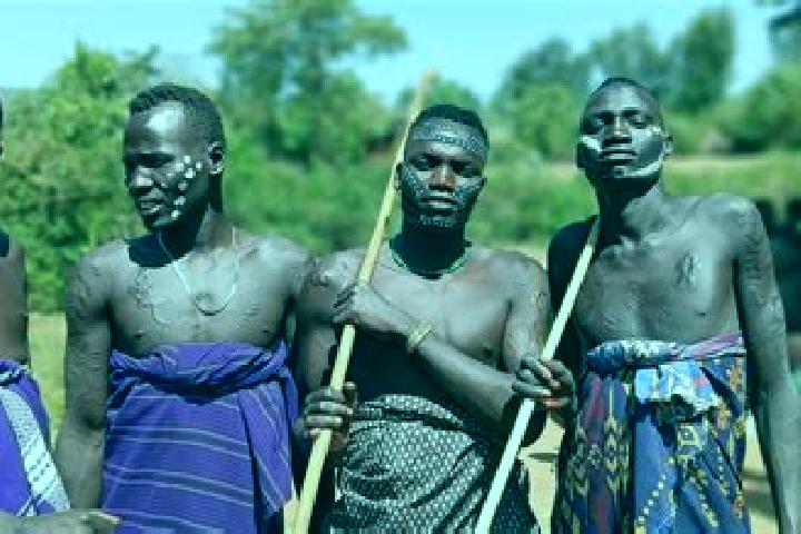Escorts Nejo, Ethiopia — Local Companions