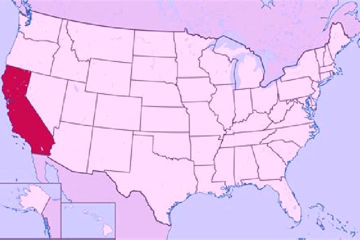 Escorts New California, United States — Local Companions