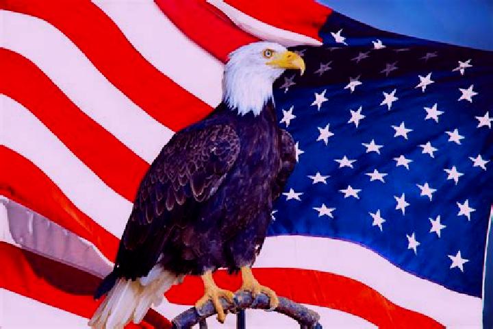 Escorts New Eagle, United States — Local Companions