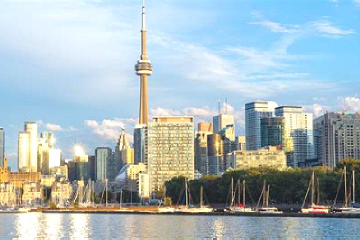 Escorts New Toronto, Canada — Local Companions