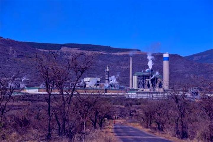 Escorts Ngodwana, South Africa — Local Companions
