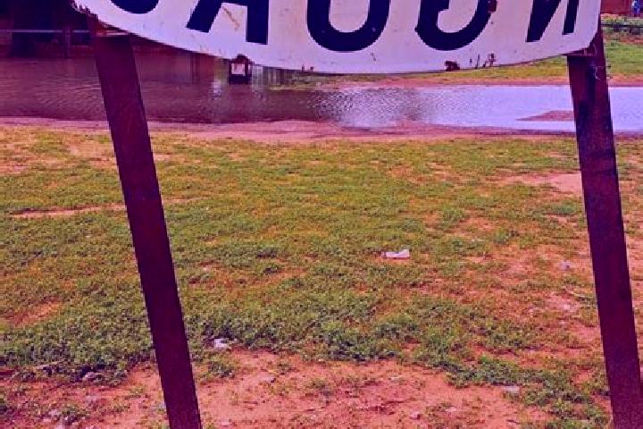 Escorts Nguru, Nigeria — Local Companions