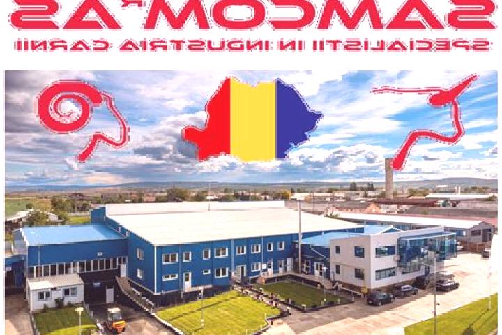 Escorts Nicseni, Romania — Local Companions