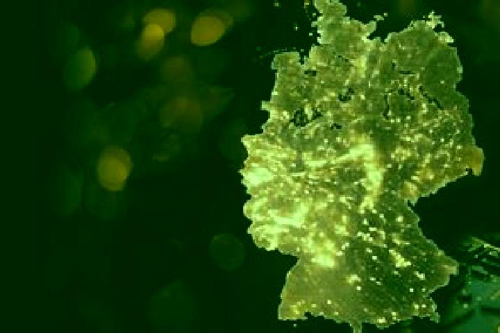 Escorts Niederdreisbach, Germany — Local Companions
