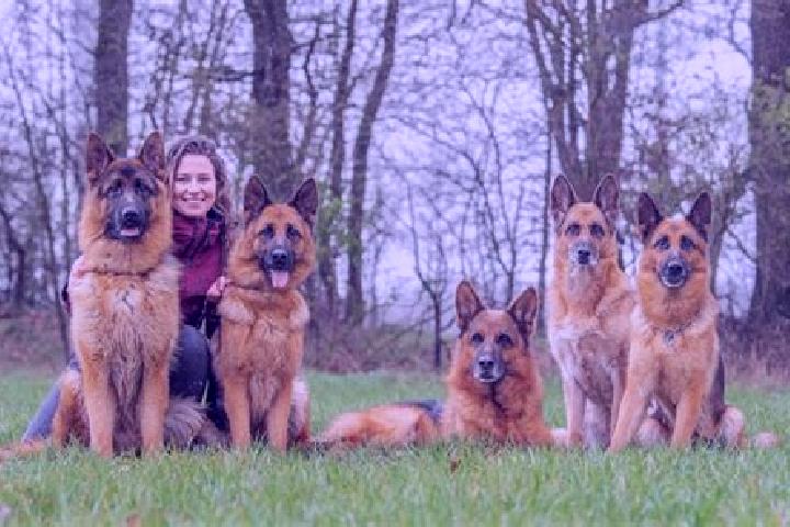 Escorts Niederzissen, Germany — Local Companions