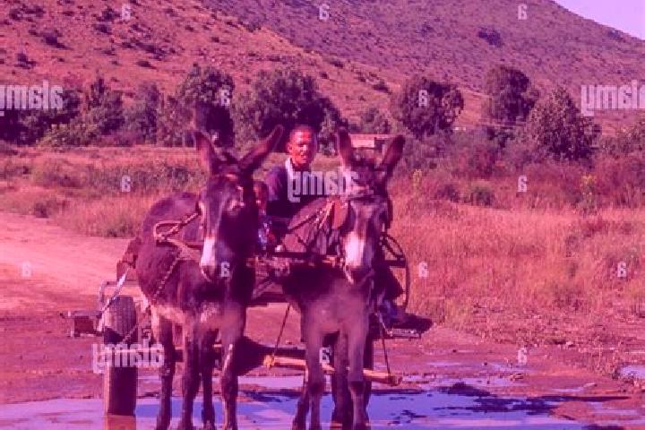 Escorts Nieu-Bethesda, South Africa — Local Companions