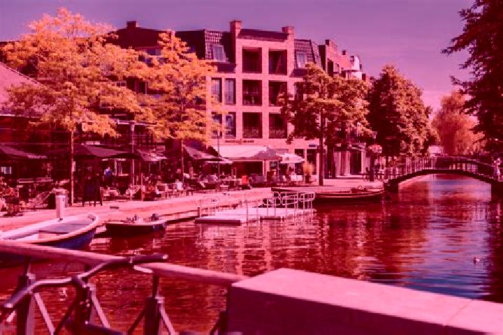 Escorts Nieuw-Beijerland, Netherlands — Local Companions