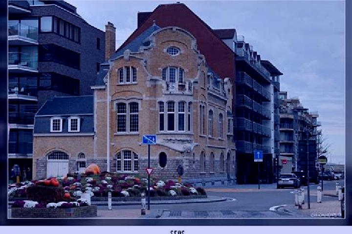 Escorts Nieuwpoort, Belgium — Local Companions