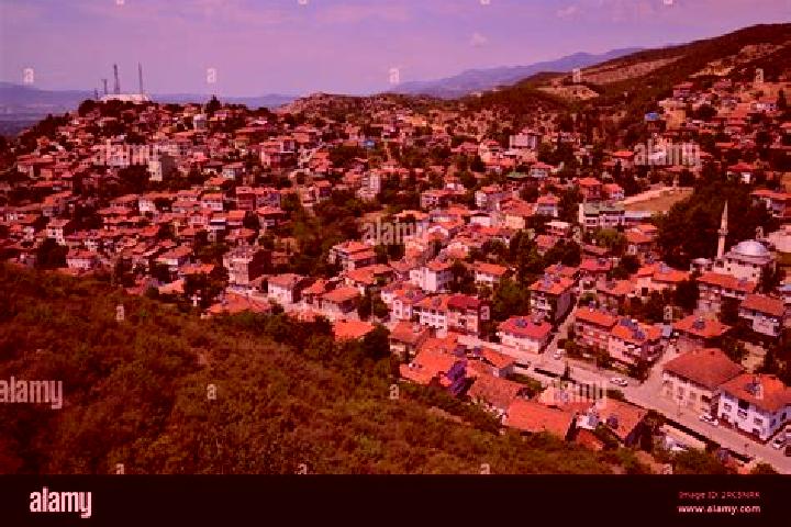Escorts Niksar, Turkey — Local Companions