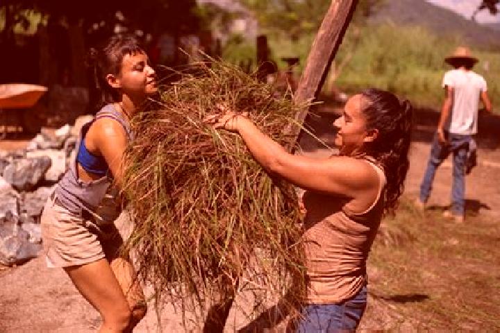 Escorts Niltepec, Mexico — Local Companions