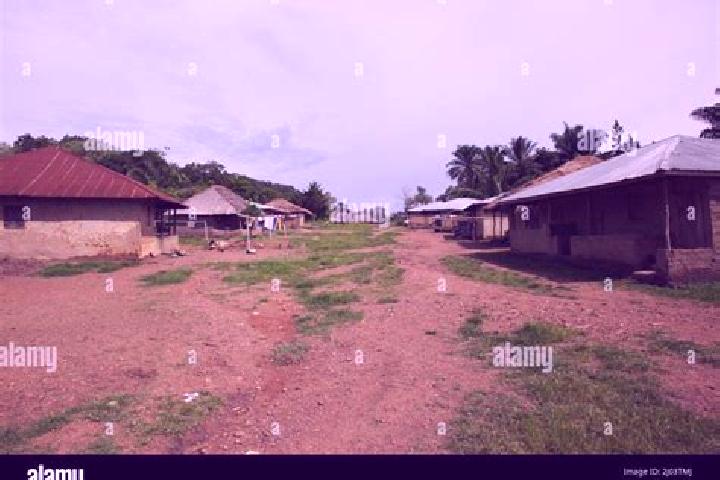 Escorts Njala, Sierra Leone — Local Companions