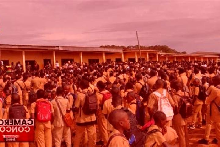 Escorts Nkambe, Cameroon — Local Companions