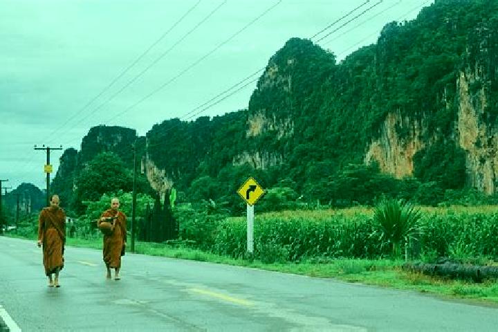 Escorts Noen Maprang, Thailand — Local Companions