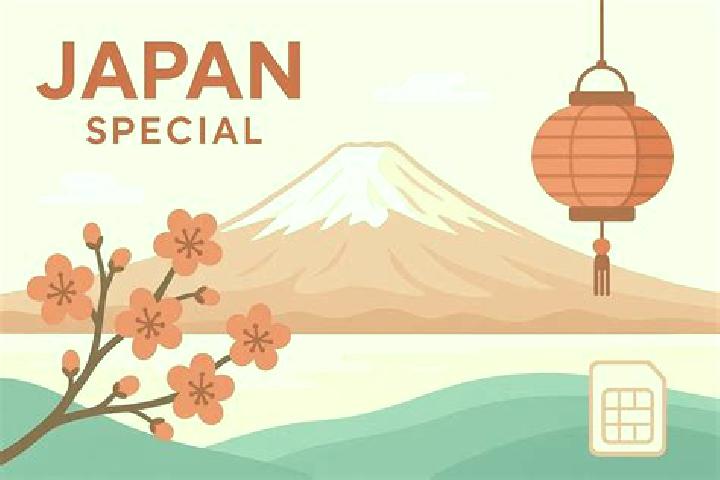 Escorts Nomi, Japan — Local Companions