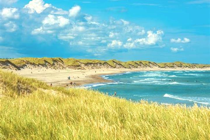Escorts Nordborg, Denmark — Local Companions