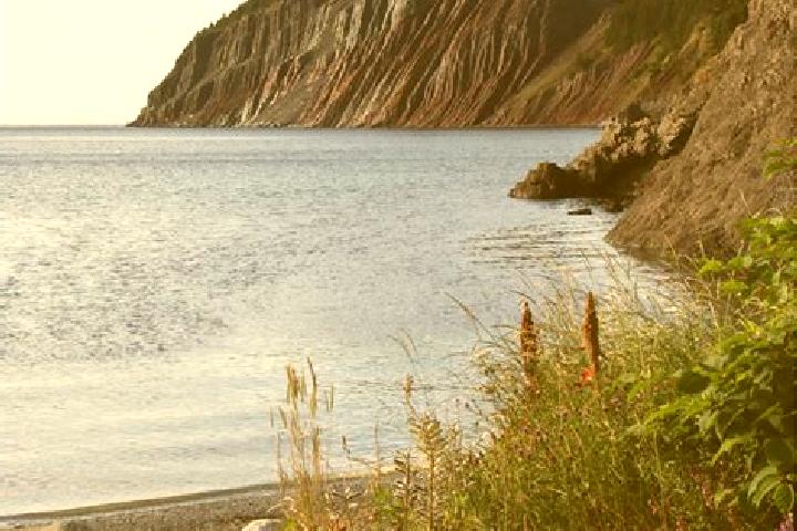 Escorts Norman s Cove-Long Cove, Canada — Local Companions