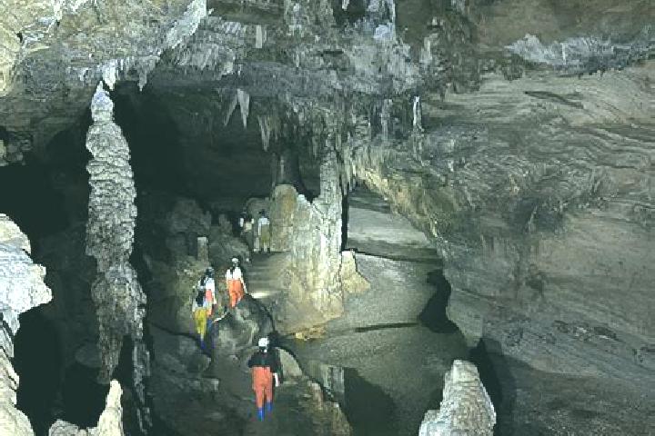 Escorts North Cave, United Kingdom — Local Companions