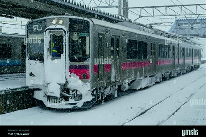 Escorts Noshiro, Japan — Local Companions