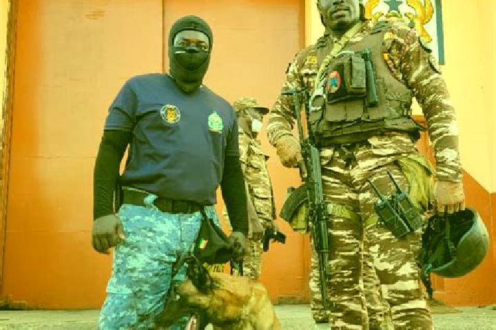 Escorts Nsawam, Ghana — Local Companions