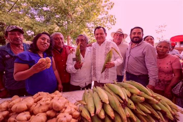 Escorts Nuevo Renacer, Nicaragua — Local Companions