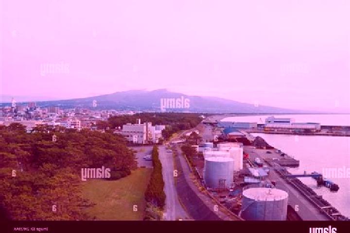 Escorts Numazu, Japan — Local Companions