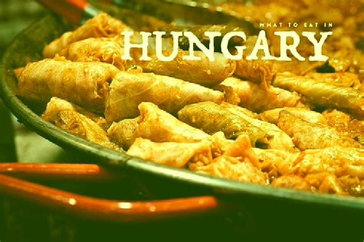 Escorts Nyaregyhaza, Hungary — Local Companions