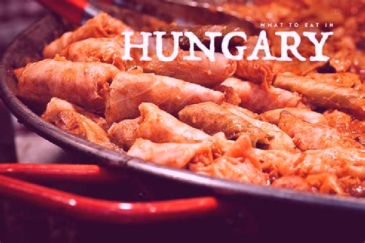 Escorts Nyekladhaza, Hungary — Local Companions