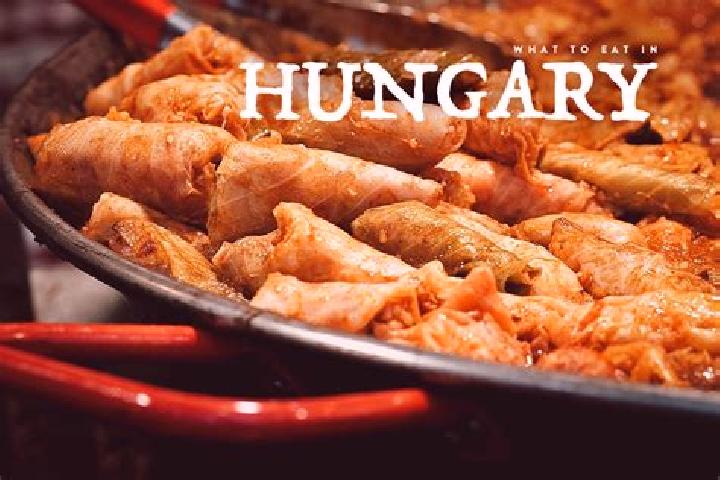 Escorts Nyirpazony, Hungary — Local Companions