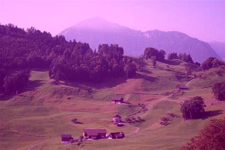 Escorts Oberdiessbach, Switzerland — Local Companions