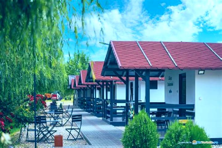 Escorts Ocna de Fier, Romania — Local Companions
