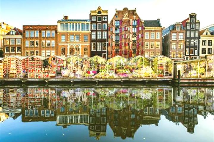 Escorts Odiliapeel, Netherlands — Local Companions