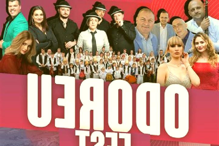 Escorts Odoreu, Romania — Local Companions