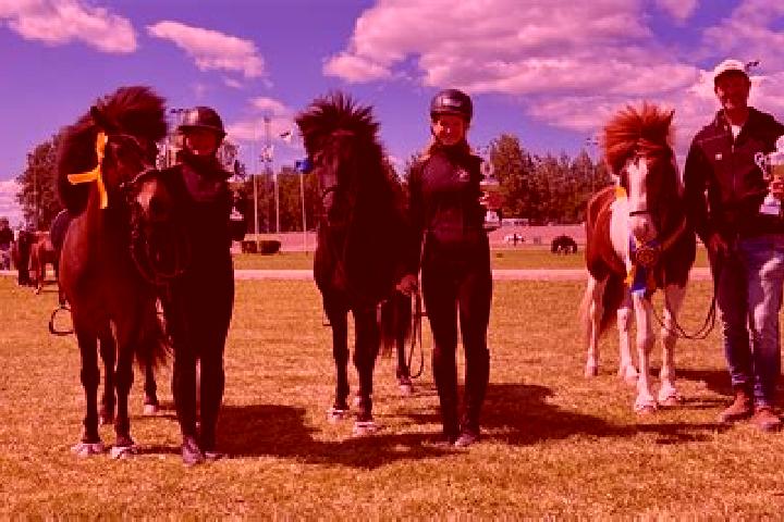 Escorts OEstansjoe, Sweden — Local Companions
