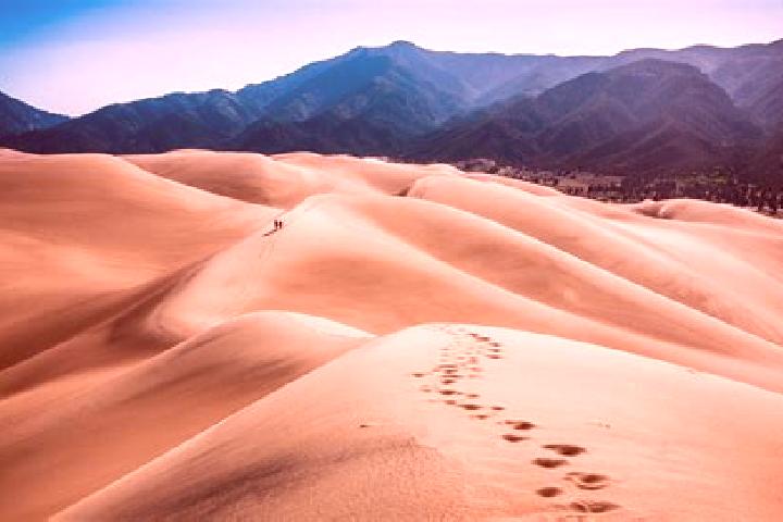 Escorts Ogden Dunes, United States — Local Companions