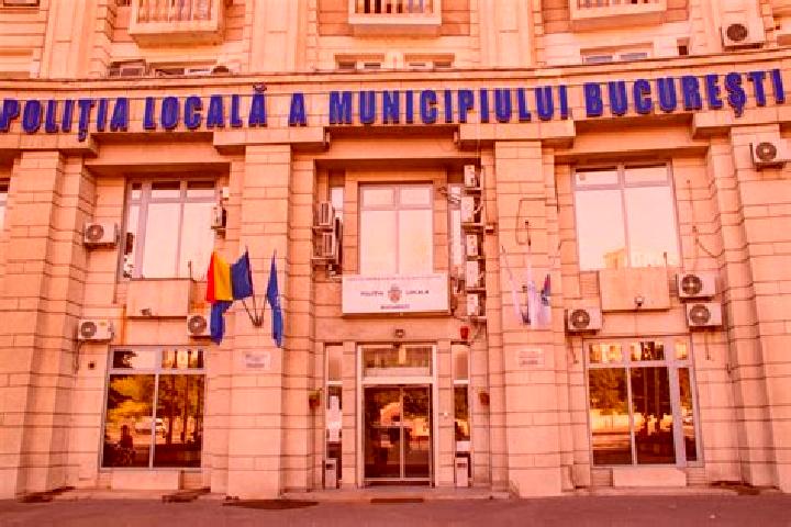 Escorts Ograda, Romania — Local Companions