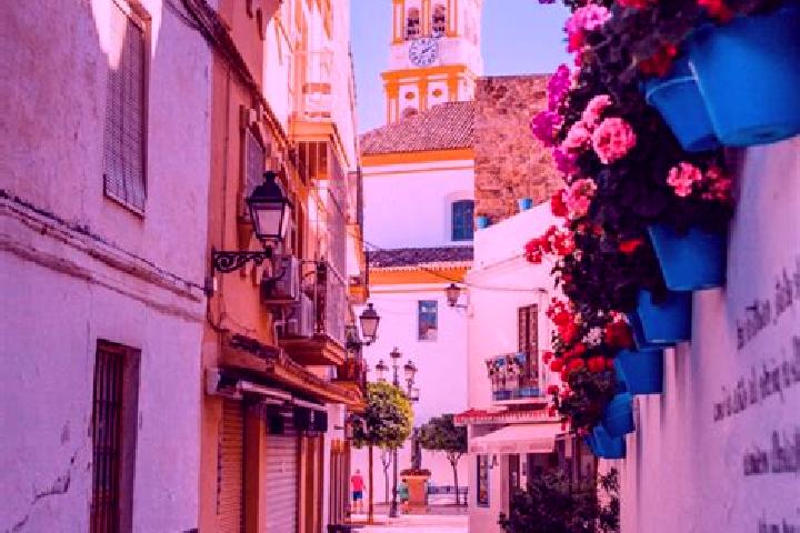 Escorts Olivenza, Spain — Local Companions